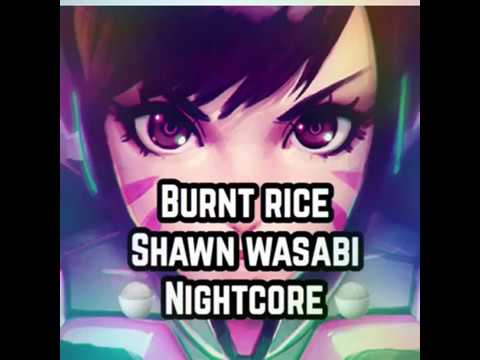 Shawn Wasabi Burnt Rice Download